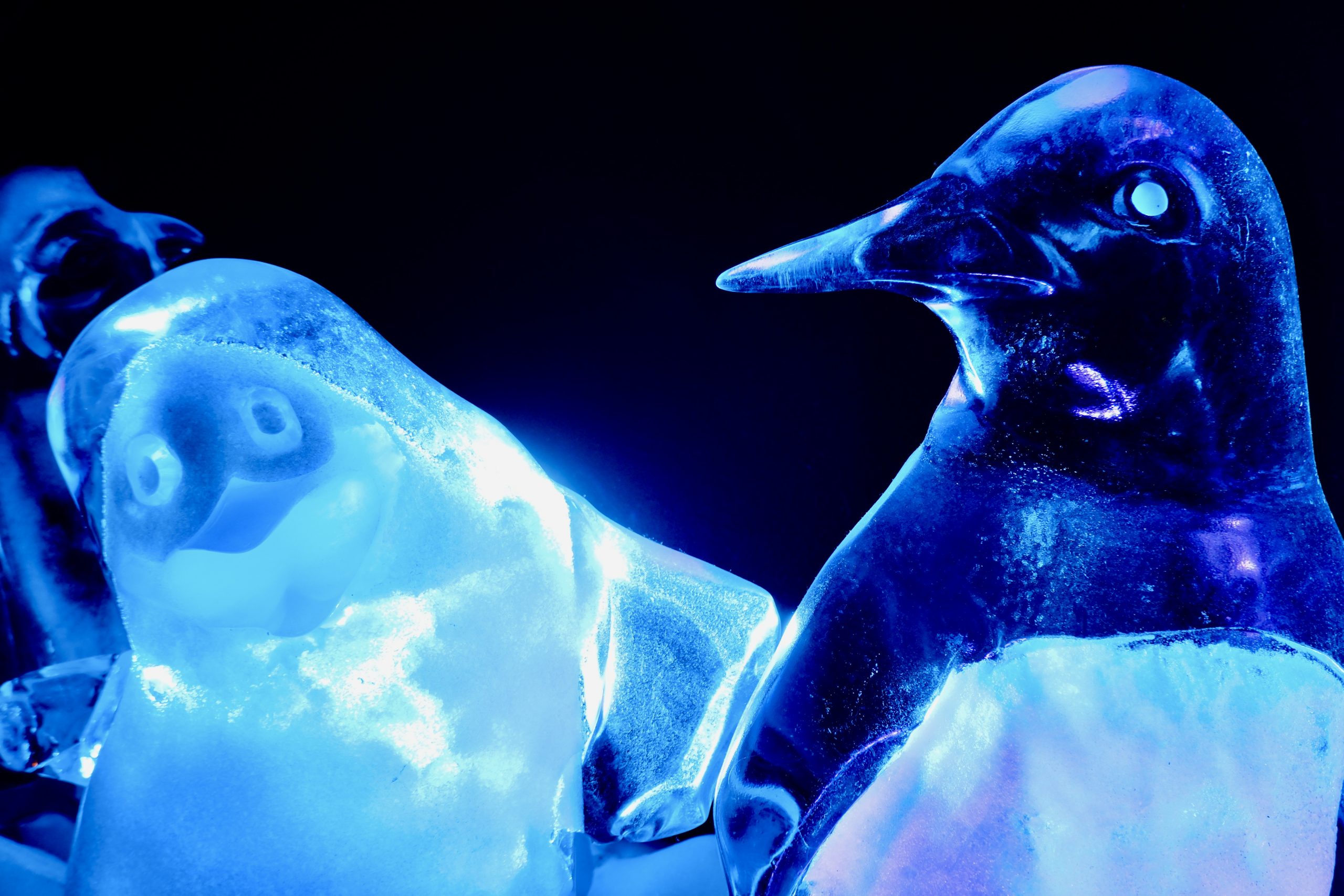 Eiswelt Oberhausen 2025